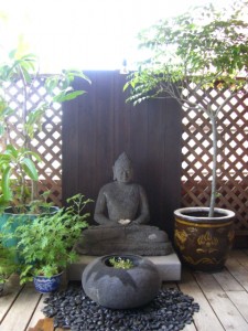 sitting_buddha
